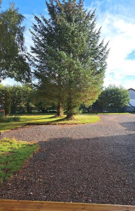 Little Slioch Cottage- A Break From City Life Avoch Esterno foto